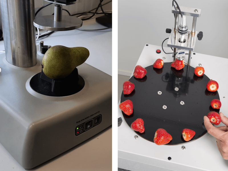 Evaluating firmness